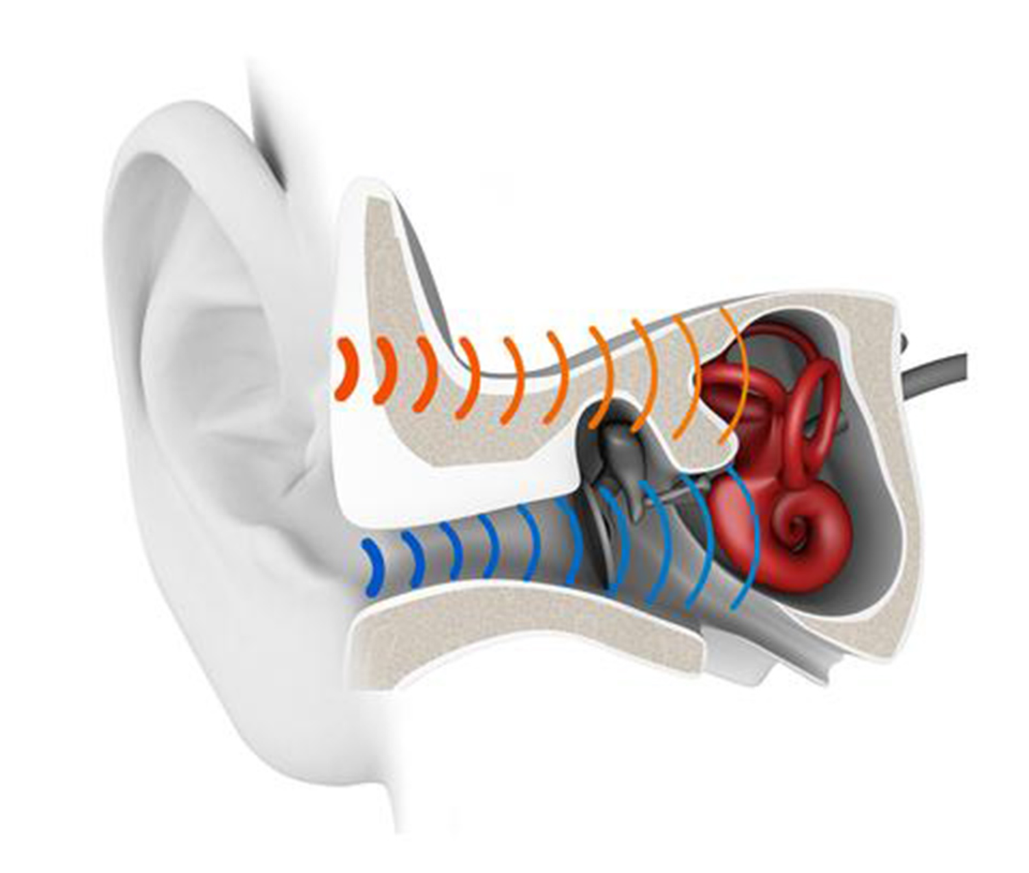 forbrain bone conduction headphones
